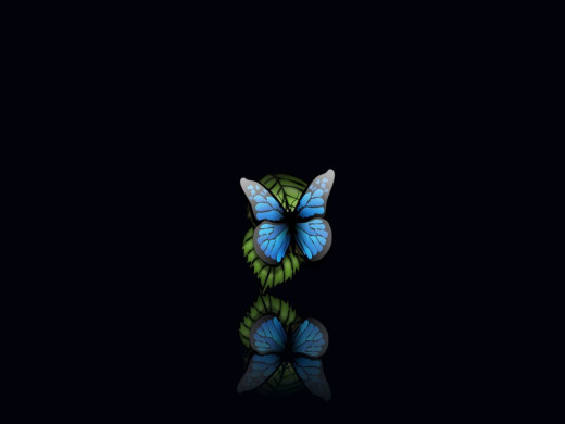 417513 (a): :1600x1200